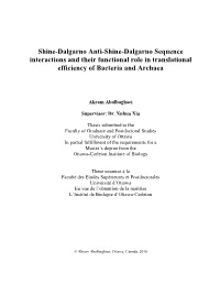 Shine-Dalgarno Anti-Shine-Dalgarno Sequence Interactions and Their Functional Role in Translational Efficiency of Bacteria and Archaea
