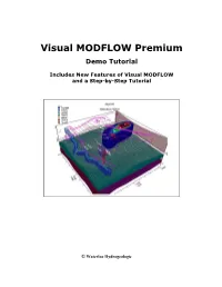 Visual MODFLOW Premium