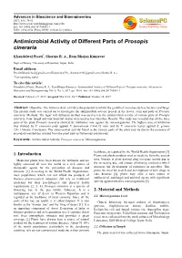 Antimicrobial Activity of Different Parts of Prosopis Cineraria