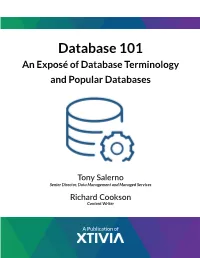 Database 101 an Exposé of Database Terminology and Popular Databases