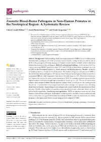 Zoonotic Blood-Borne Pathogens in Non-Human Primates in the Neotropical Region: a Systematic Review