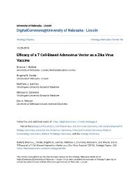 Efficacy of a T Cell-Biased Adenovirus Vector As a Zika Virus Vaccine