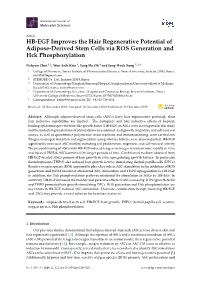HB-EGF Improves the Hair Regenerative Potential of Adipose-Derived Stem Cells Via ROS Generation and Hck Phosphorylation