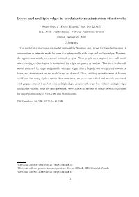 Loops and Multiple Edges in Modularity Maximization of Networks