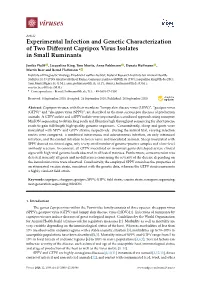 Experimental Infection and Genetic Characterization of Two Different