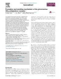 Formation and Working Mechanism of the Picornavirus Vpg Uridylylation