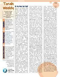 Parshat Vayigash
