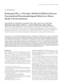 Reducing GABAA Α5 Receptor-Mediated Inhibition Rescues Functional and Neuromorphological Deficits in a Mouse Model of Down Synd