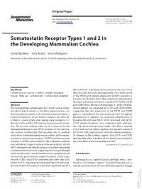 Somatostatin Receptor Types 1 and 2 in the Developing Mammalian Cochlea