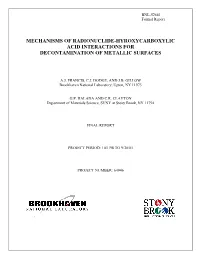 Final Report