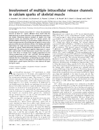 Involvement of Multiple Intracellular Release Channels in Calcium Sparks of Skeletal Muscle