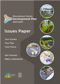 Issues Paper