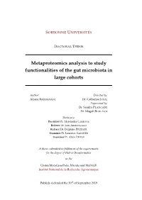 Metaproteomics Analysis to Study Functionalities of the Gut Microbiota in Large Cohorts