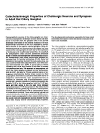 Catecholaminergic Properties of Cholinergic Neurons and Synapses in Adult Rat Ciliary Ganglion