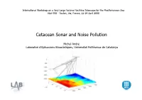Cetacean Sonar and Noise Pollution
