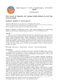 First Record of Eutypella Vitis Causing Branch Dieback on New Host Trees in Canada