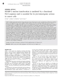 IGFBP-2 Nuclear Translocation Is Mediated by a Functional NLS Sequence and Is Essential for Its Pro-Tumorigenic Actions in Cancer Cells