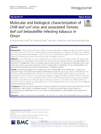 Molecular and Biological Characterization of Chilli Leaf Curl Virus and Associated Tomato Leaf Curl Betasatellite Infecting Toba