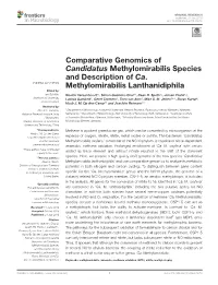 Comparative Genomics of Candidatus Methylomirabilis Species and Description of Ca. Methylomirabilis Lanthanidiphila