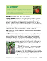 Salmonberry: Salmonberry Forms Dense Thickets in Wet Forested Areas