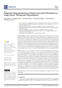 Epigenetic Reprogramming of Tumor-Associated Fibroblasts in Lung Cancer: Therapeutic Opportunities