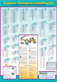 Genomeposter2009.Pdf