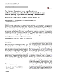 The Effects of Chemical Components and Particle Size on the Mechanical