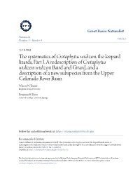 The Systematics of Crotaphytus Wislizeni, the Leopard Lizards, Part I