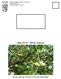 White Sapote