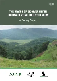 The Status of Biodiversity in Echuya Central Forest Reserve” Is a Culmination of This Collaboration Effort to Document the Status of Biodiversity in Uganda