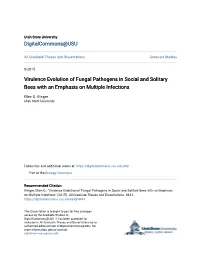 Virulence Evolution of Fungal Pathogens in Social and Solitary Bees with an Emphasis on Multiple Infections