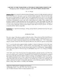 A Review of the Worldwide Activities in Tree Improvement for Eucalyptus Grandis, Eucalyptus Urophlla And