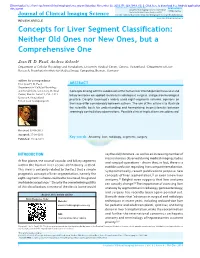 Concepts for Liver Segment Classification: Neither Old Ones Nor New Ones, but a Comprehensive One