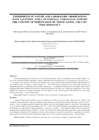 Scyphozoa: Coronatae) Support the Concept of Perennation by Tissue Saving and Con- Firm Dormancy