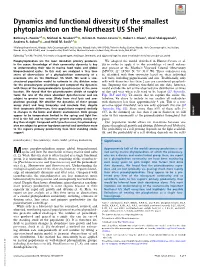 Dynamics and Functional Diversity of the Smallest