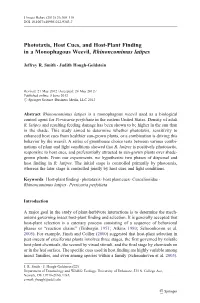 Phototaxis, Host Cues, and Host-Plant Finding in a Monophagous Weevil, Rhinoncomimus Latipes