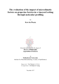 The Evaluation of the Impact of Microclimatic Factors on Grapevine Berries in a Vineyard Setting Through Molecular Profiling