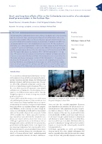 And Long-Term Effects of Fire on the Collembola Communities of a Sub-Alpine Dwarf Pine Ecosystem in the Austrian Alps