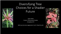 Diversifying Tree Choices for a Shadier Future