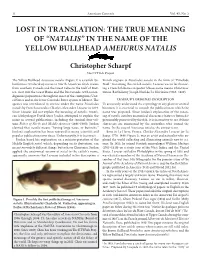 Natalis” in the Name of the Yellow Bullhead Ameiurus Natalis Christopher Scharpf