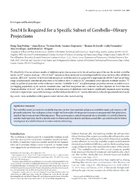 Sox14 Is Required for a Specific Subset of Cerebello–Olivary Projections