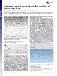 Constraint, Natural Selection, and the Evolution of Human Body Form