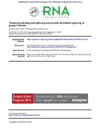 Group I Introns Toward Predicting Self-Splicing and Protein-Facilitated Splicing Of