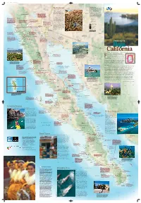 Baja California Map Guide