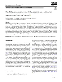 Microbial Electron Uptake in Microbial Electrosynthesis: a Mini-Review