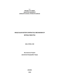 Molecular Motor Contractile Mechanism of Retinal Pericytes