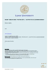 Wt1) – an Effector in Leukemogenesis?