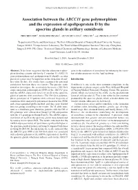 Association Between the ABCC11 Gene Polymorphism and the Expression of Apolipoprotein D by the Apocrine Glands in Axillary Osmidrosis