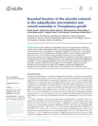 Essential Function of the Alveolin Network in the Subpellicular