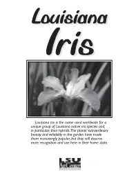 Louisiana Iris Is the Name Used Worldwide for a Unique Group of Louisiana Native Iris Species And, in Particular, Their Hybrids